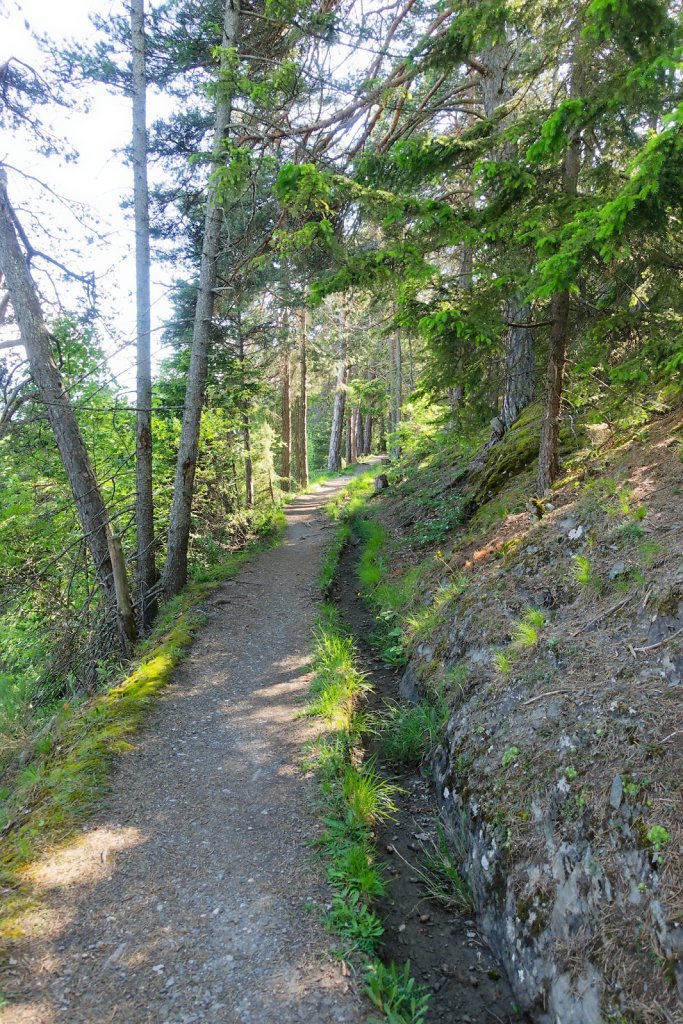 Bisse de Tsanpé et Déjore (05.06.2024)