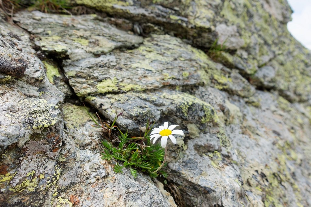 Combe de Barasson (03.08.2024)