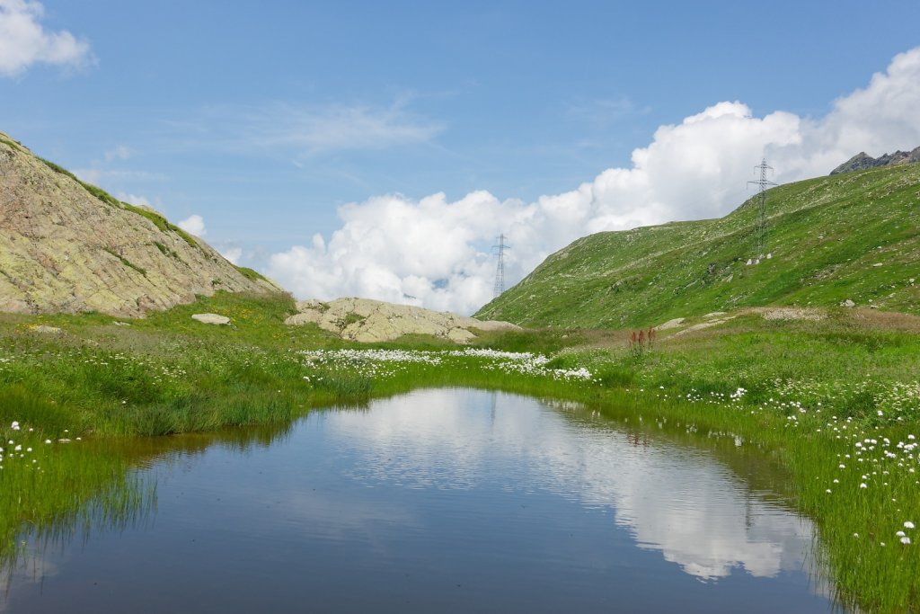 Combe de Barasson (03.08.2024)