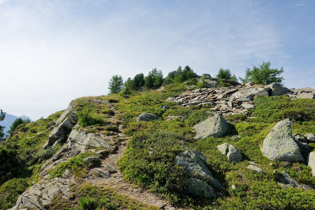 Wannehorn, Grächen (15.08.2024)