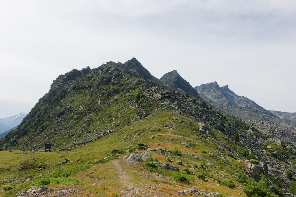 Wannehorn, Grächen (15.08.2024)