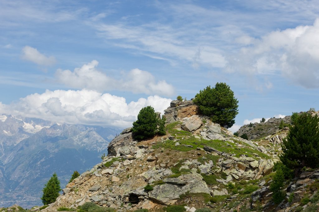 Wannehorn, Grächen (15.08.2024)