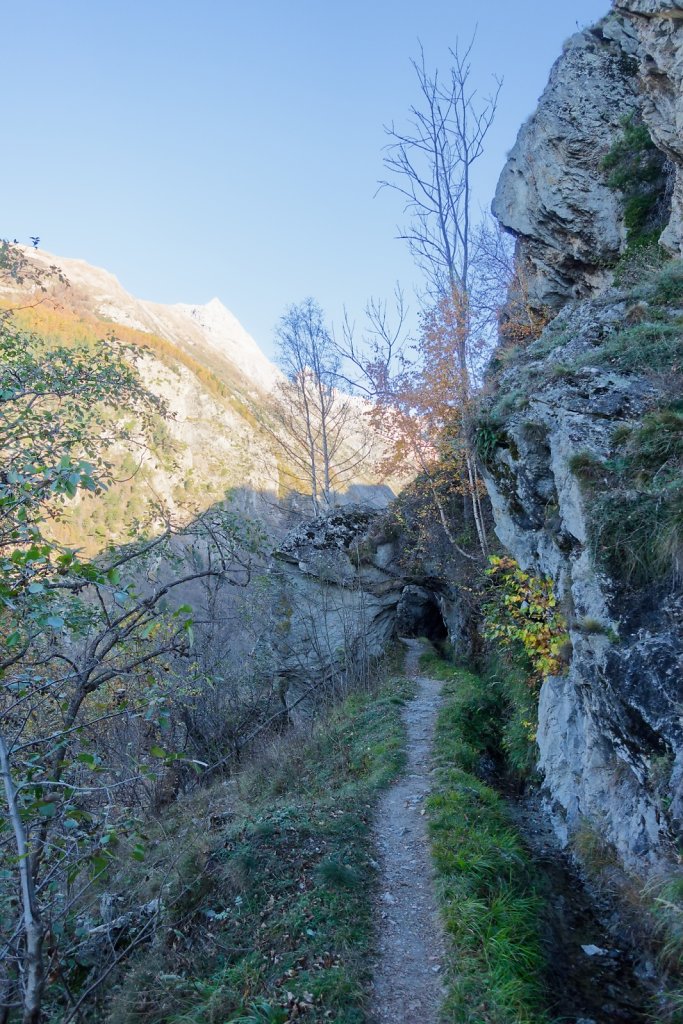 Baltschiedertal, Erl, Honalpa (07.11.2024)