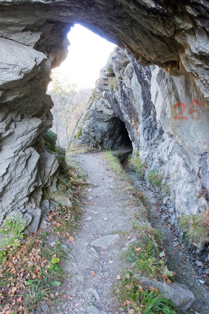 Baltschiedertal, Erl, Honalpa (07.11.2024)