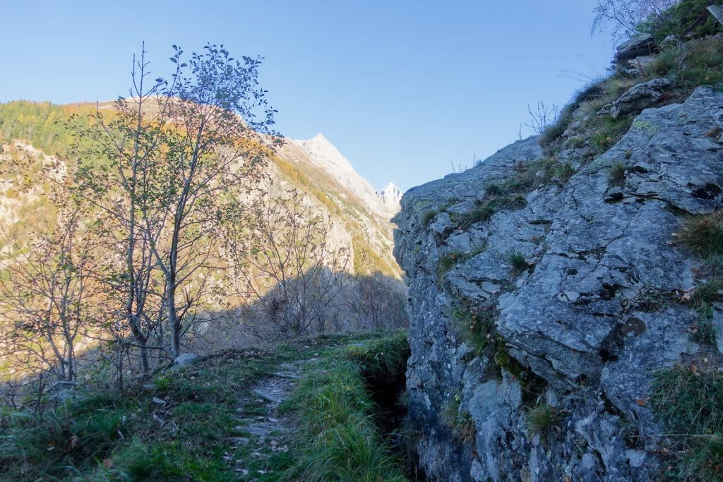 Baltschiedertal, Erl, Honalpa (07.11.2024)