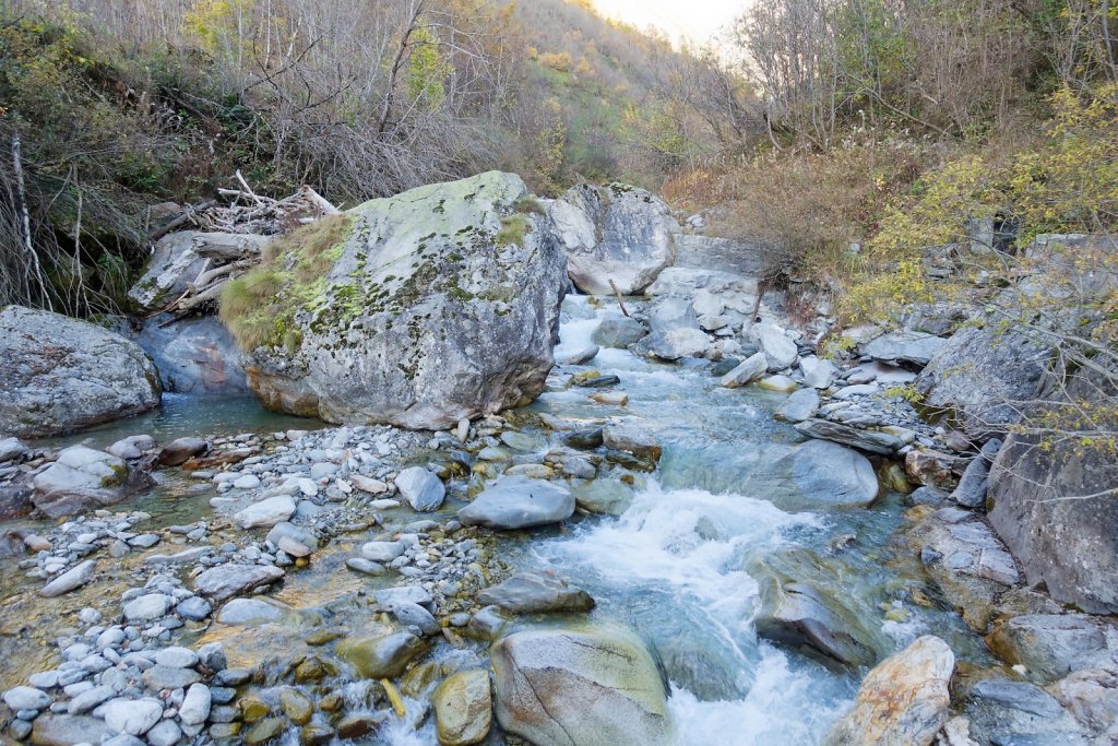 Baltschiedertal, Erl, Honalpa (07.11.2024)