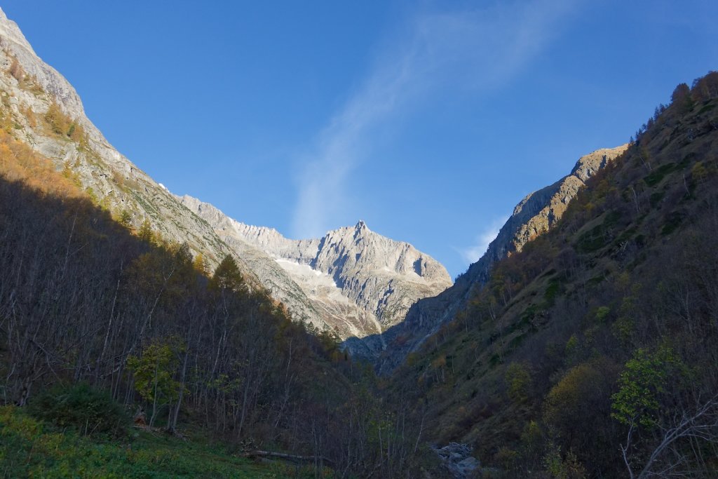 Baltschiedertal, Erl, Honalpa (07.11.2024)