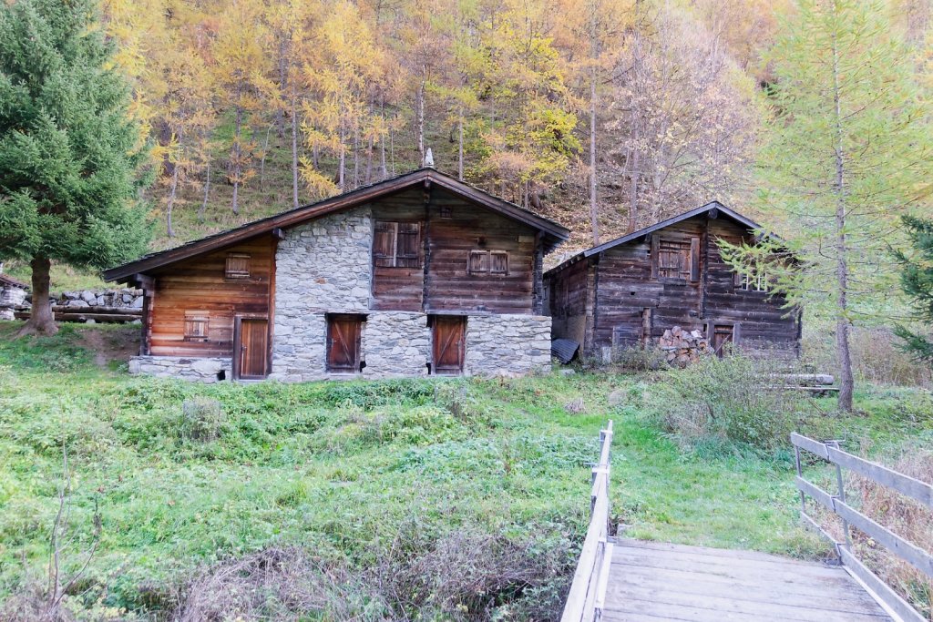 Baltschiedertal, Erl, Honalpa (07.11.2024)