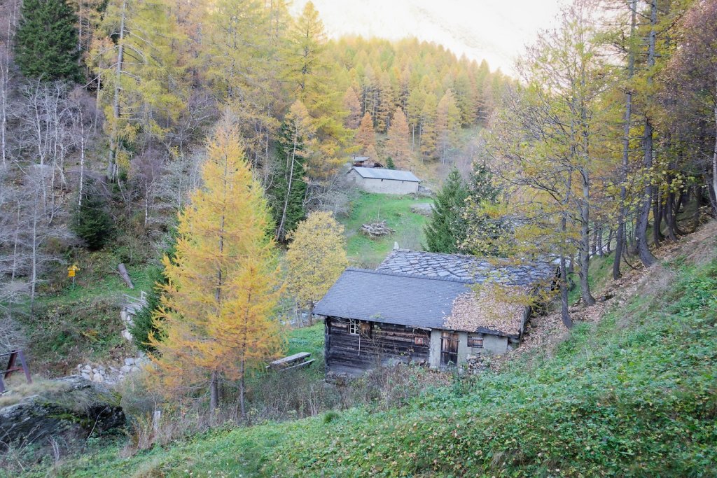 Baltschiedertal, Erl, Honalpa (07.11.2024)