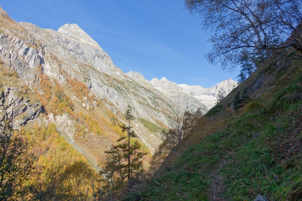 Baltschiedertal, Erl, Honalpa (07.11.2024)