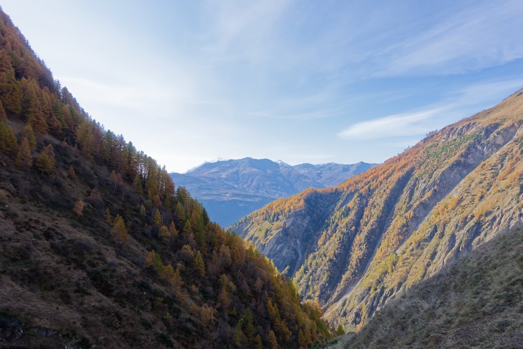 Baltschiedertal, Erl, Honalpa (07.11.2024)