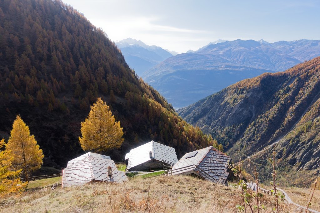 Baltschiedertal, Erl, Honalpa (07.11.2024)