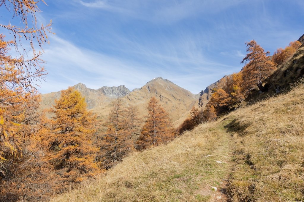 Baltschiedertal, Erl, Honalpa (07.11.2024)