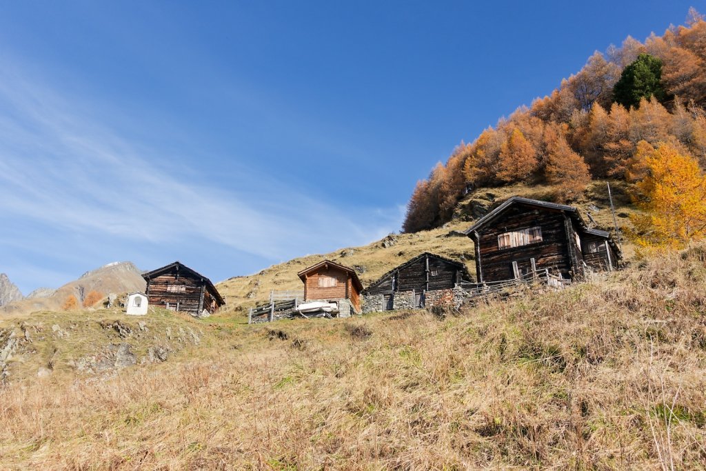 Baltschiedertal, Erl, Honalpa (07.11.2024)