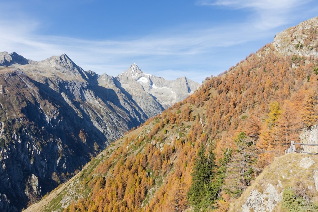 Baltschiedertal, Erl, Honalpa (07.11.2024)