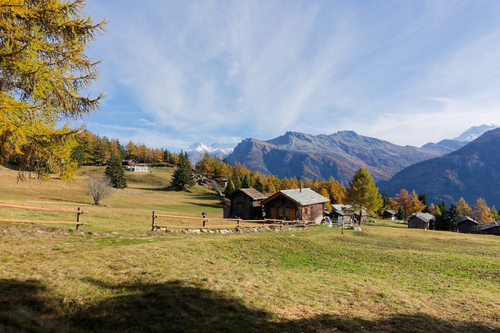 Baltschiedertal, Erl, Honalpa (07.11.2024)