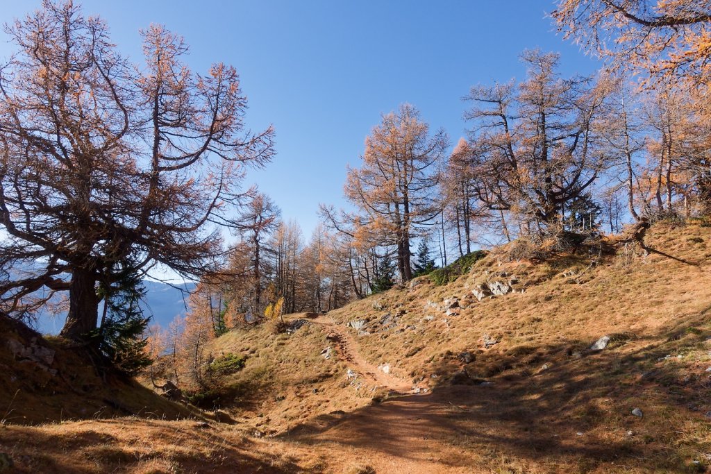 Horlini, Galm (10.11.2024)