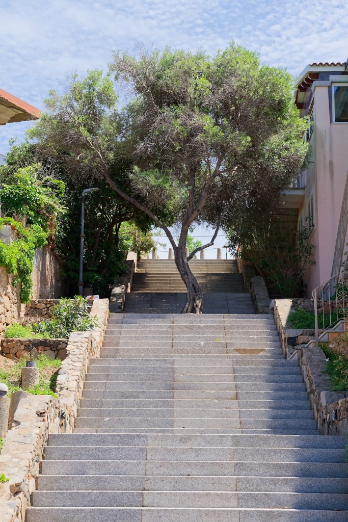 Sardaigne (mai 2025)