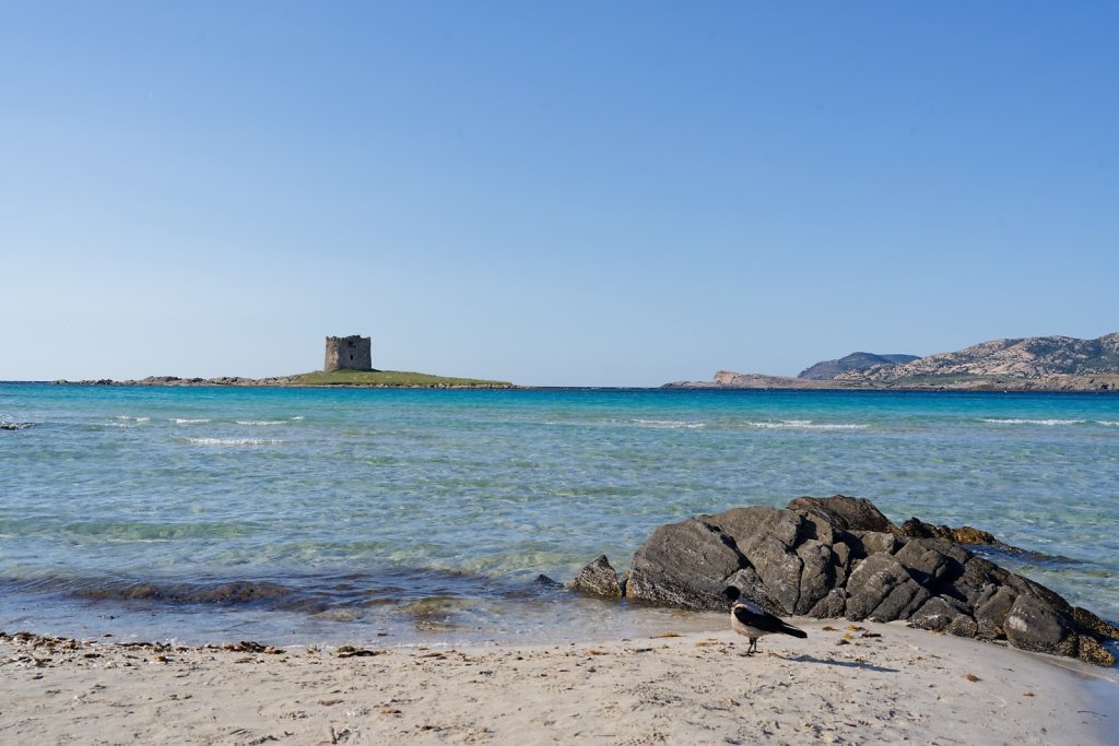 Sardaigne (mai 2025)