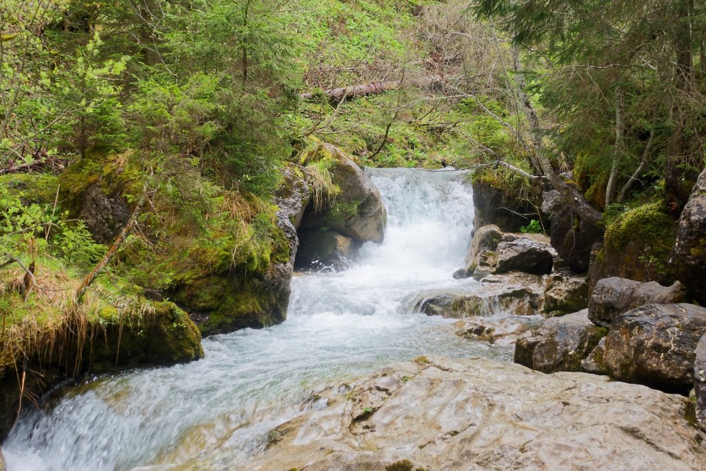 Morgins, Tovassière (10.05.2025)
