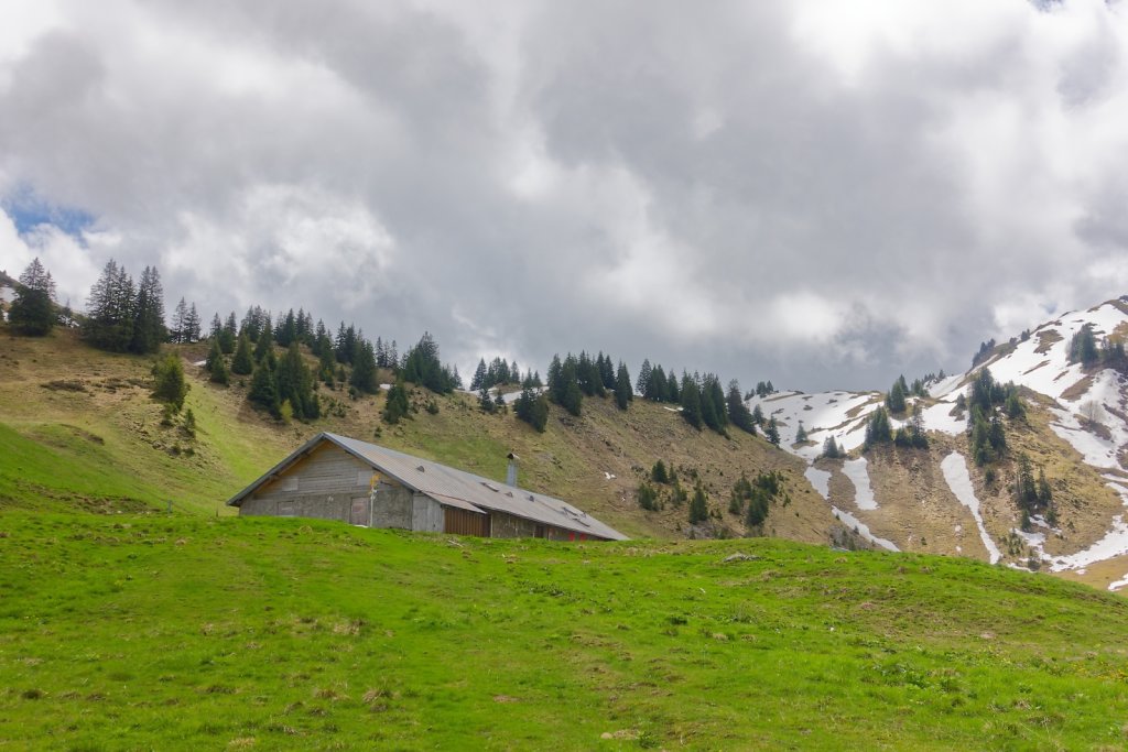 Morgins, Tovassière (10.05.2025)