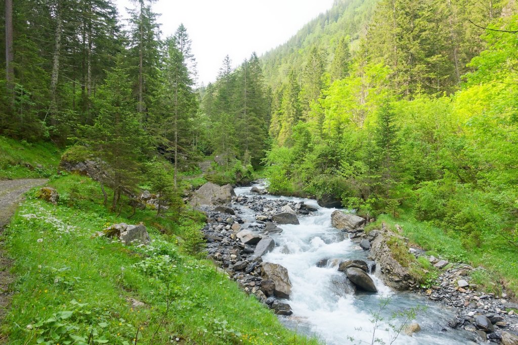 Pont de Nant, Trou à l'Ours (09.06.2025)