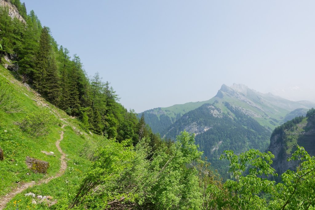 Pont de Nant, Trou à l'Ours (09.06.2025)