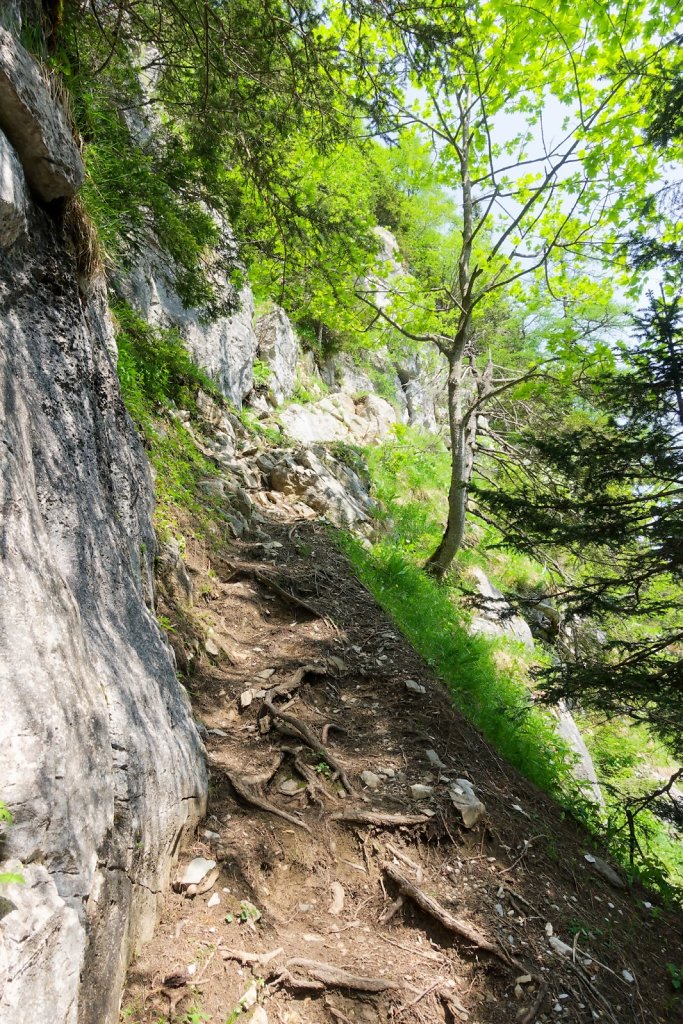Pont de Nant, Trou à l'Ours (09.06.2025)