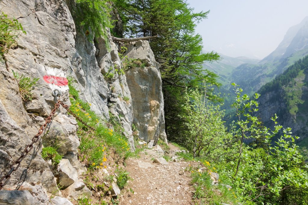 Pont de Nant, Trou à l'Ours (09.06.2025)