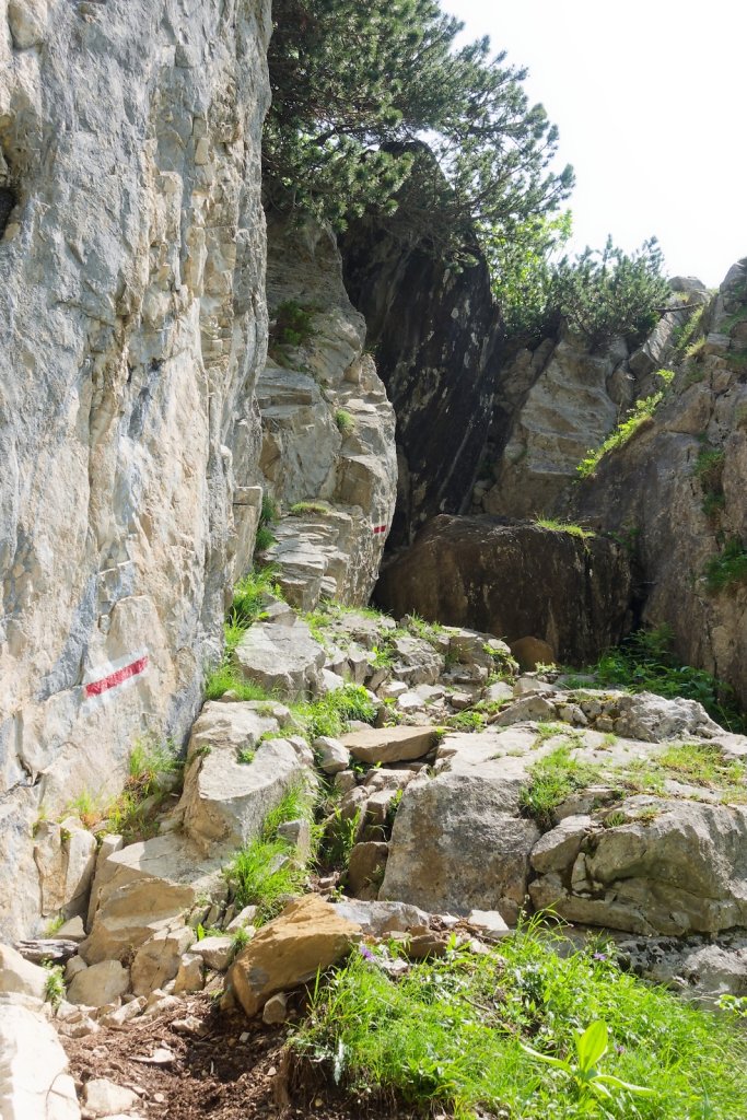 Pont de Nant, Trou à l'Ours (09.06.2025)