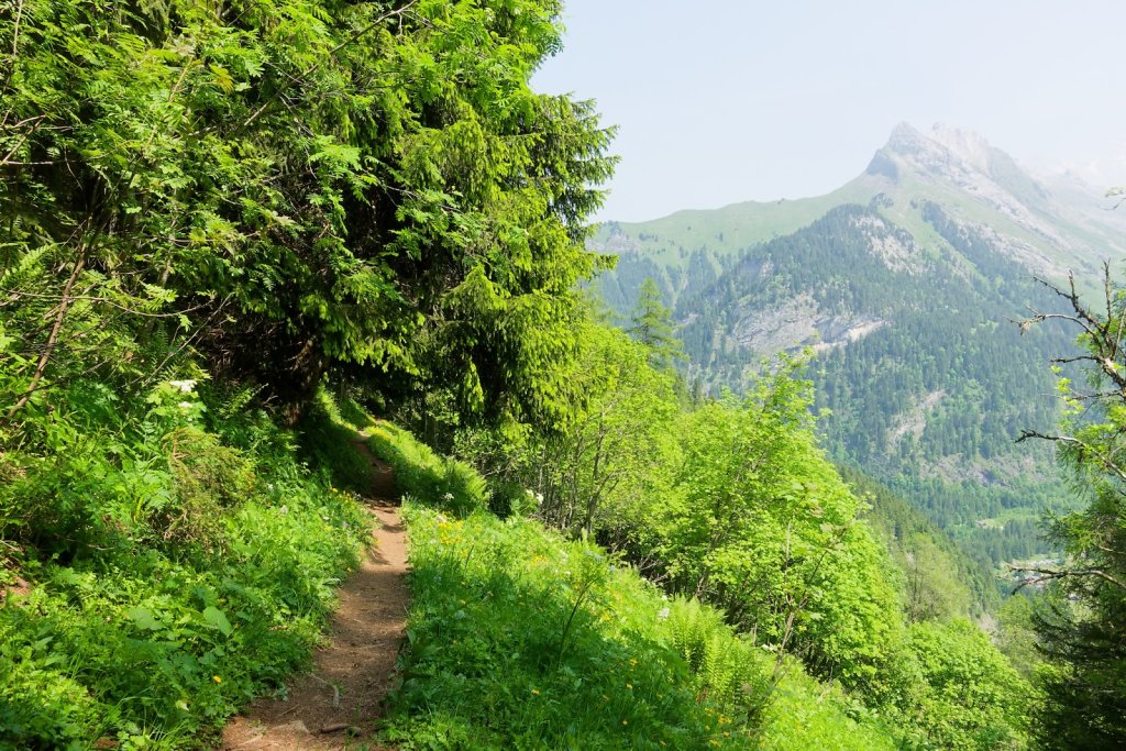 Pont de Nant, Trou à l'Ours (09.06.2025)