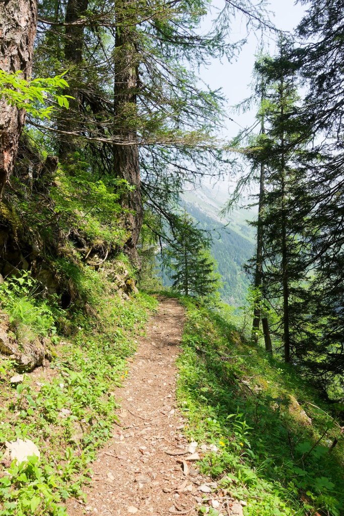 Pont de Nant, Trou à l'Ours (09.06.2025)