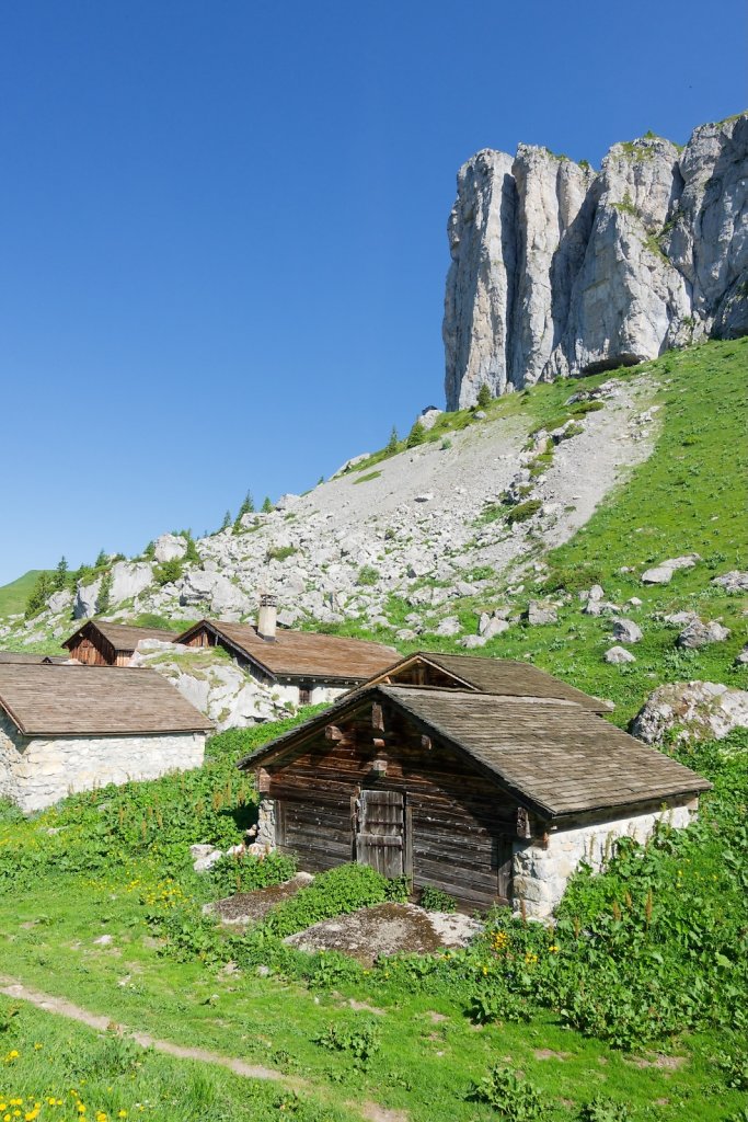 Leysin, Truex (19.09.2025)