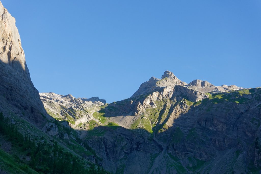 Tseuzier, Plan des Roses (28.06.2025)