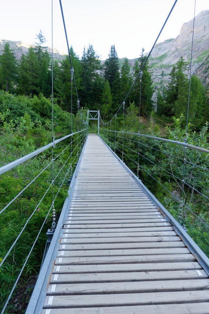 Tseuzier, Plan des Roses (28.06.2025)