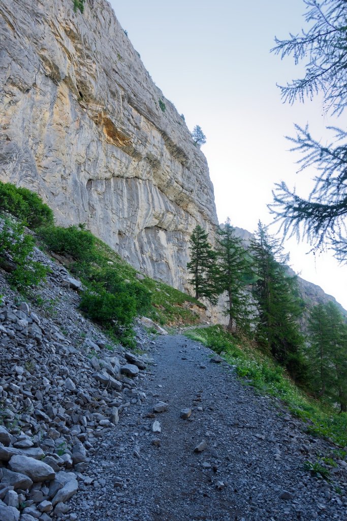 Tseuzier, Plan des Roses (28.06.2025)