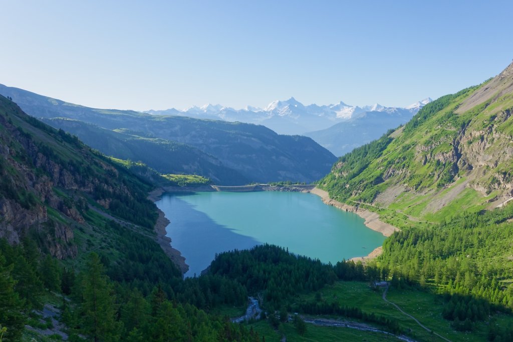Tseuzier, Plan des Roses (28.06.2025)
