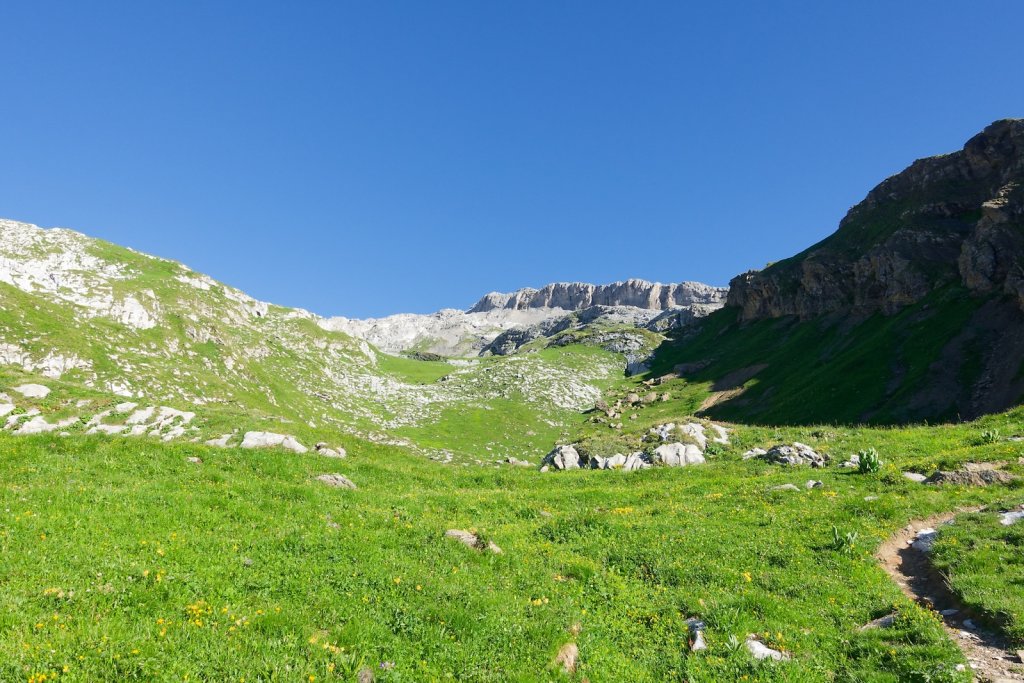 Tseuzier, Plan des Roses (28.06.2025)