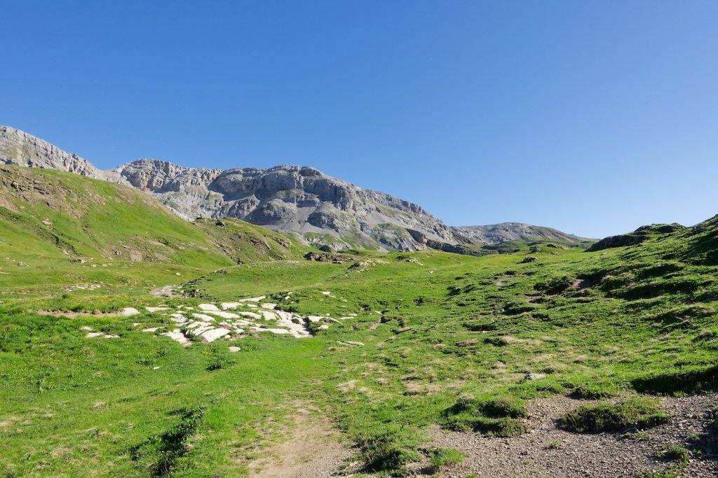 Tseuzier, Plan des Roses (28.06.2025)
