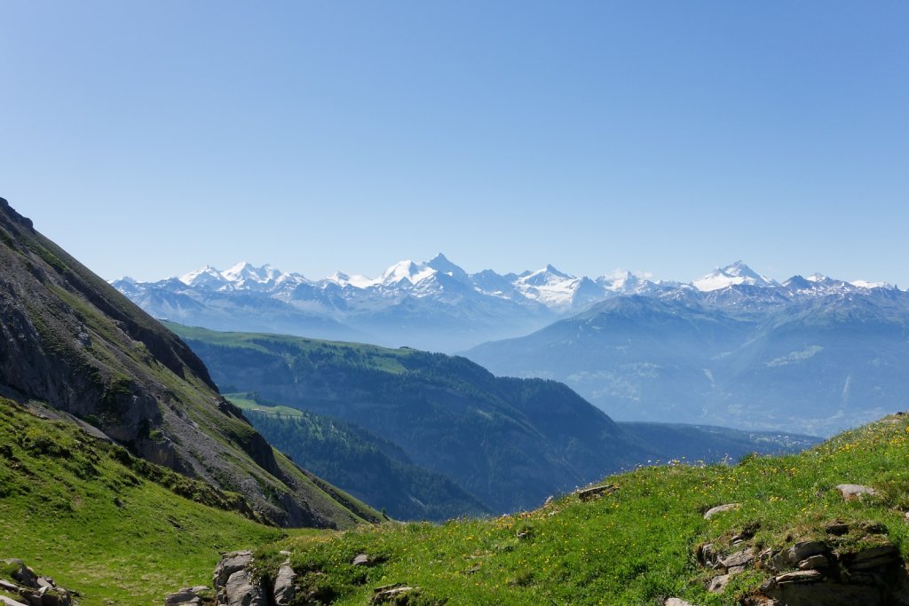 Tseuzier, Plan des Roses (28.06.2025)