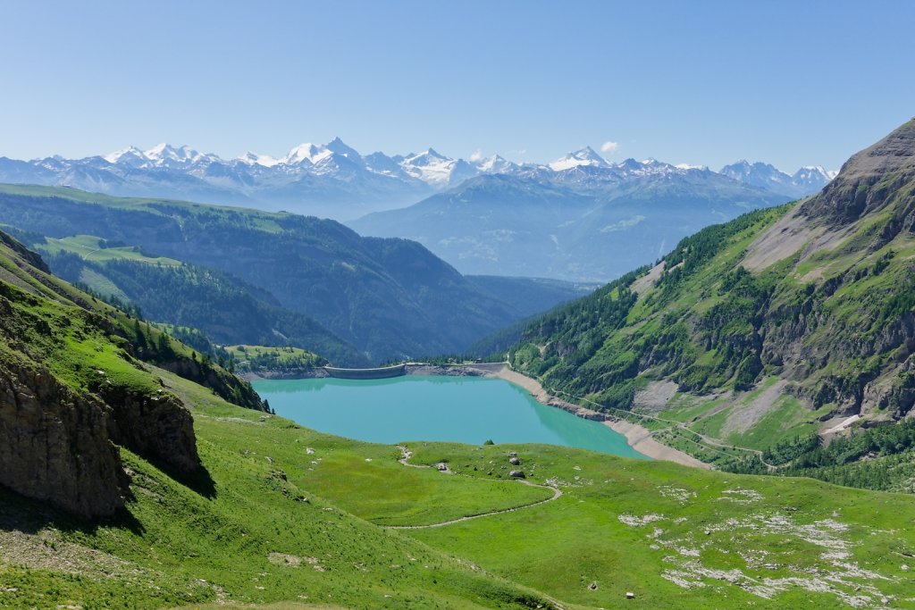 Tseuzier, Plan des Roses (28.06.2025)