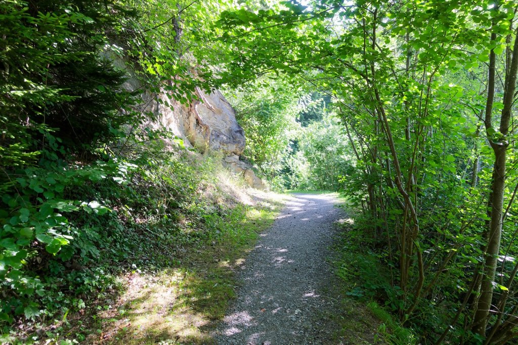 Bisse de la Tsandra (Mayens de Conthey, Mayens de My) (18.07.2025)