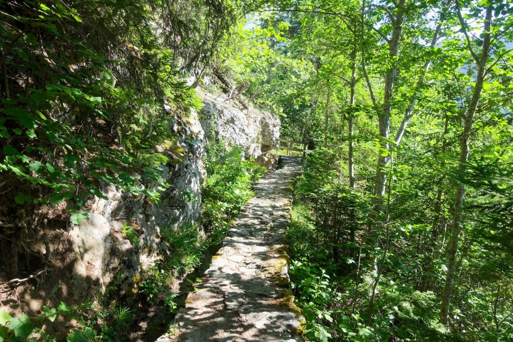 Bisse de la Tsandra (Mayens de Conthey, Mayens de My) (18.07.2025)