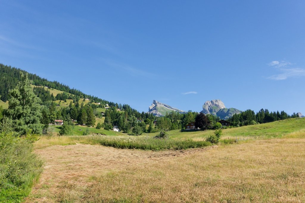 Bisse de la Tsandra (Mayens de Conthey, Mayens de My) (18.07.2025)