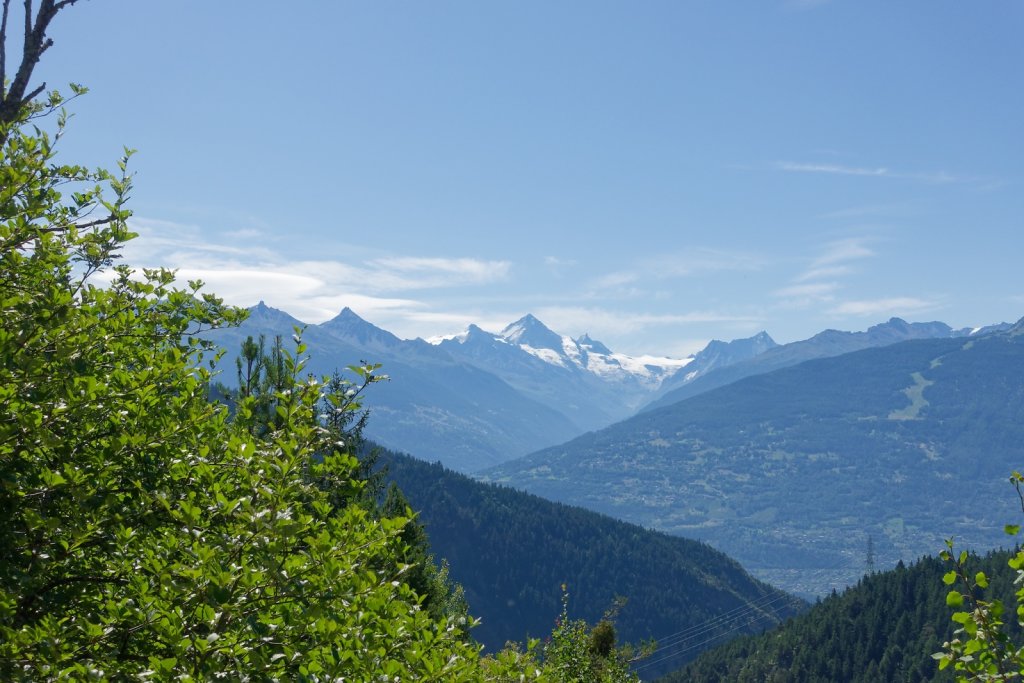 Bisse de la Tsandra (Mayens de Conthey, Mayens de My) (18.07.2025)