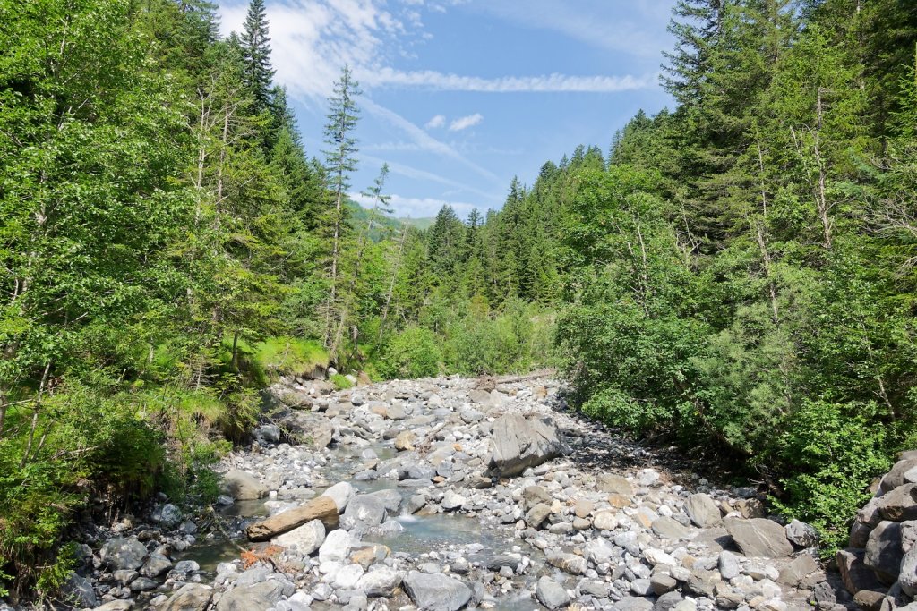 Bisse de la Tsandra (Mayens de My, Grand Zour) (20.07.2025)