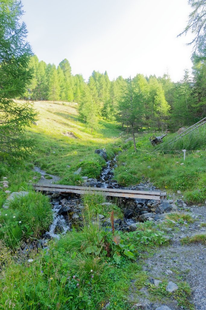 La Forclaz, Remoinste du Tsaté (03.08.2025)