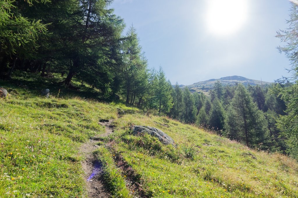La Forclaz, Remoinste du Tsaté (03.08.2025)
