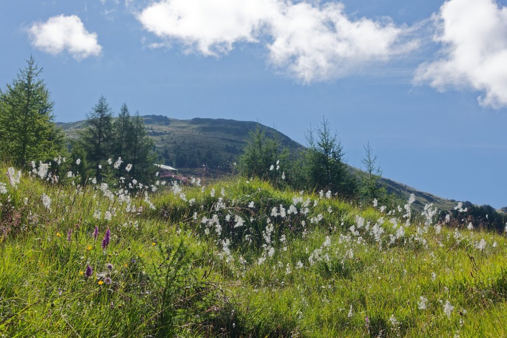 La Forclaz, Remoinste du Tsaté (03.08.2025)