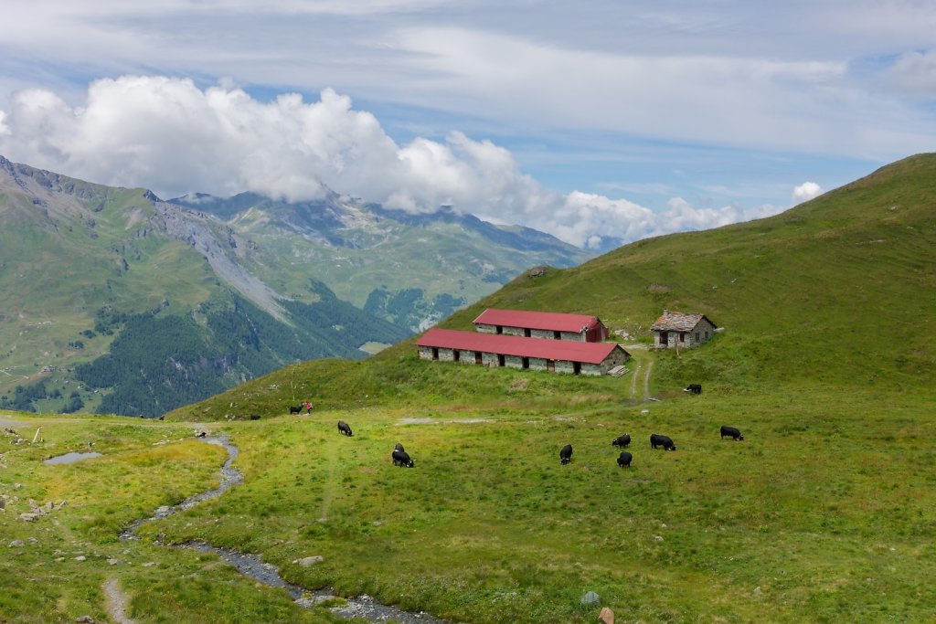 La Forclaz, Remoinste du Tsaté (03.08.2025)